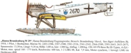 TA5-9 Hansa Brandenburg W 29 WW1 Seaplane